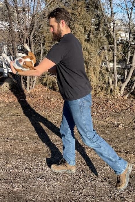 A bearded man holding a Boston Terrier dog jokingly as if to punt the dog